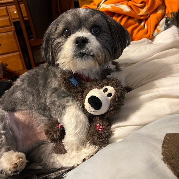 Meet your Posher, Michelle - Picture 2 of 9